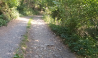 IMG_20220805_095952