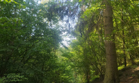 IMG_20220805_100121